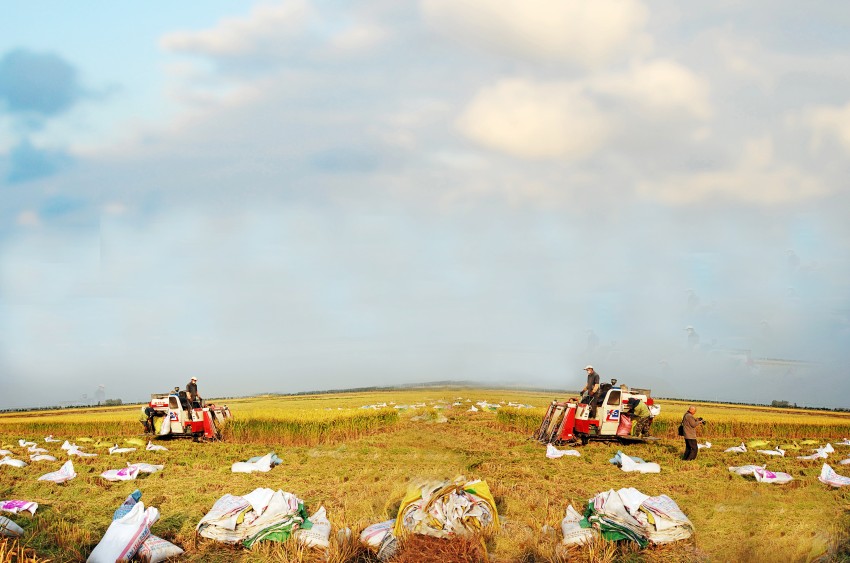 000 (2) ykx003_ȫͼ1_conew1.jpg