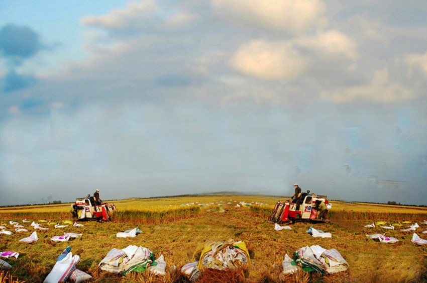 000 (2) ykx003_ȫͼ1_conew3.jpg