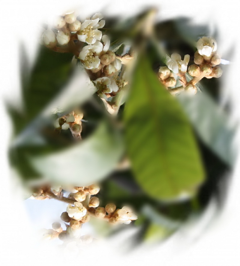 2012.11.24 210_conew2.jpg