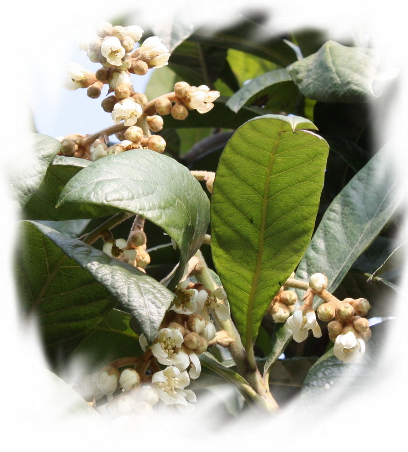 2012.11.24 210_conew3.jpg