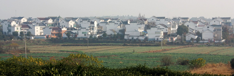 2012.11.24 091_conew1.jpg