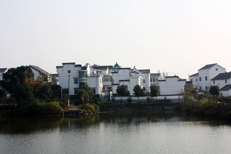 2012.11.24 113_conew1.jpg