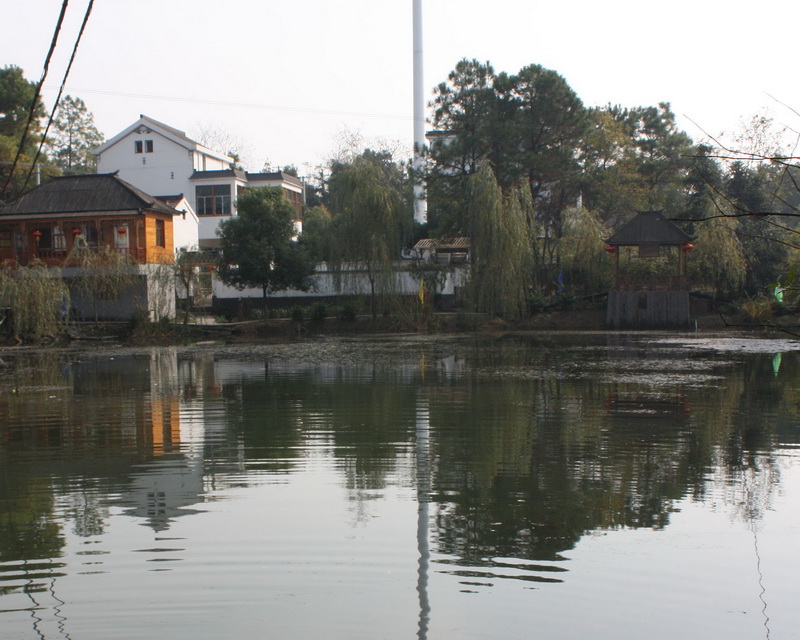 2012.11.24 199_conew1.jpg