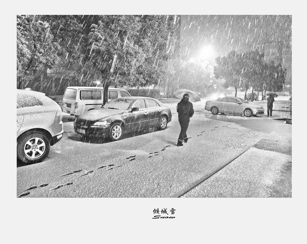 _DSC3956Ϊܶ-11 .JPG