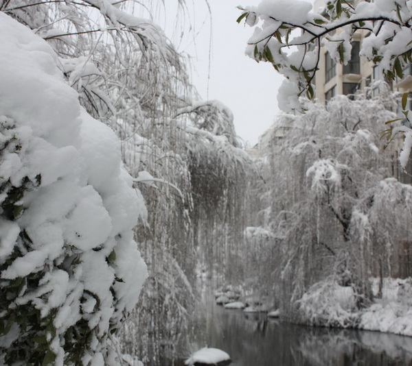 2013.1.8 068_conew1.jpg