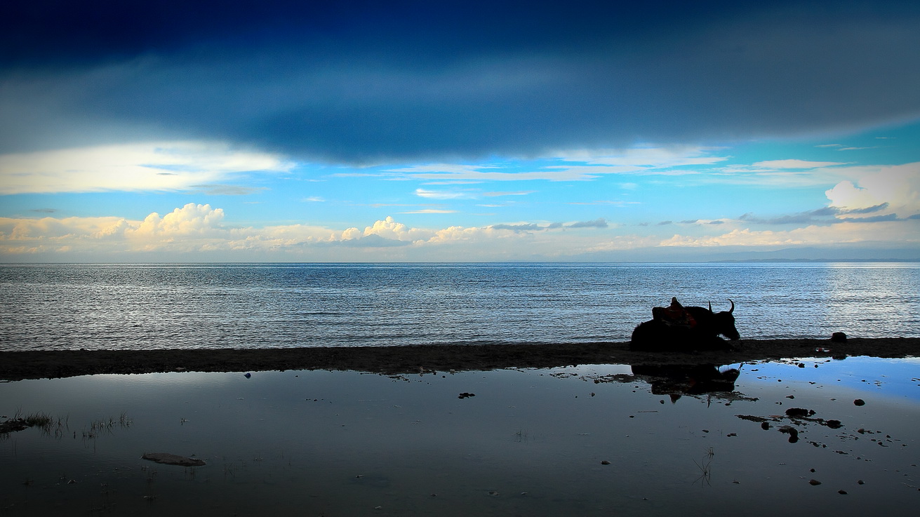 2012-8-11-IMG_2940-m-1 2-p()-m-p().jpg