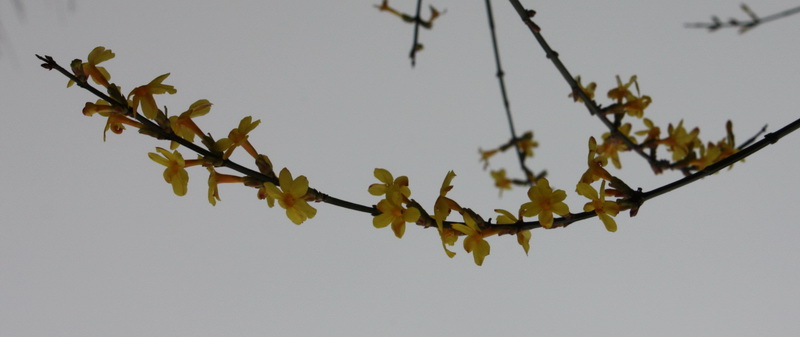 2013.1.8 047_conew2.jpg