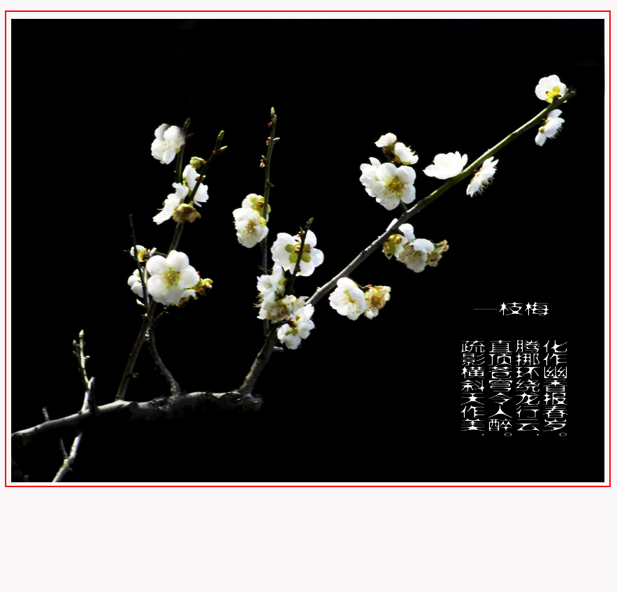  (2) _DSC8717_conew2.JPG