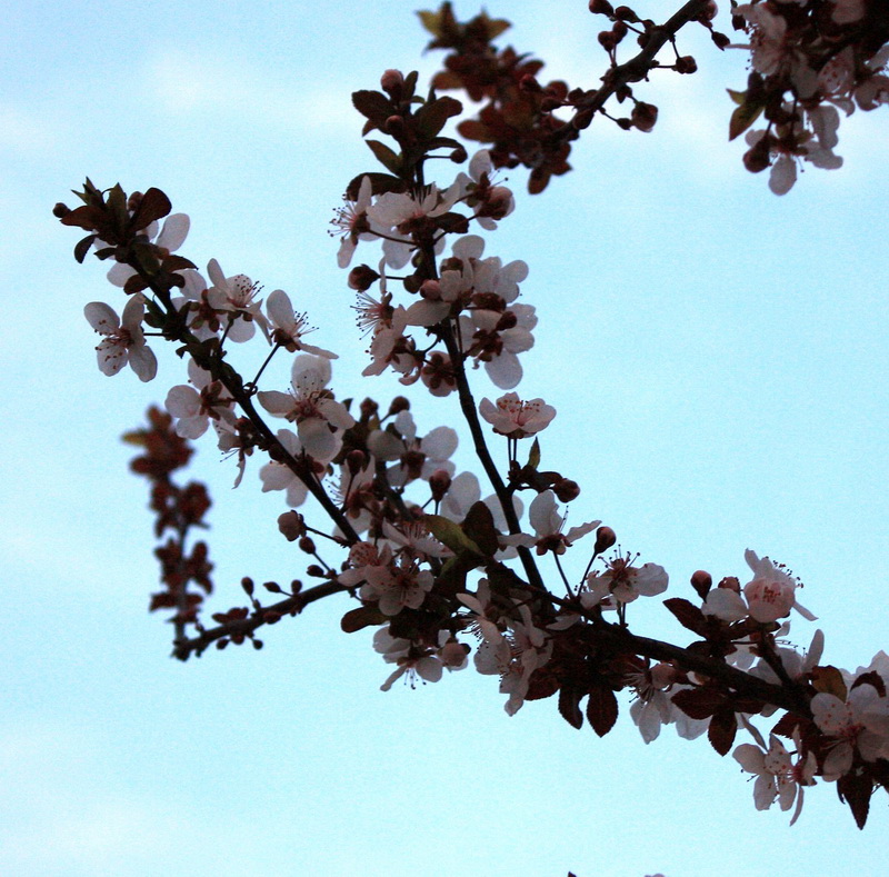 2013.1.8 030_conew2.jpg