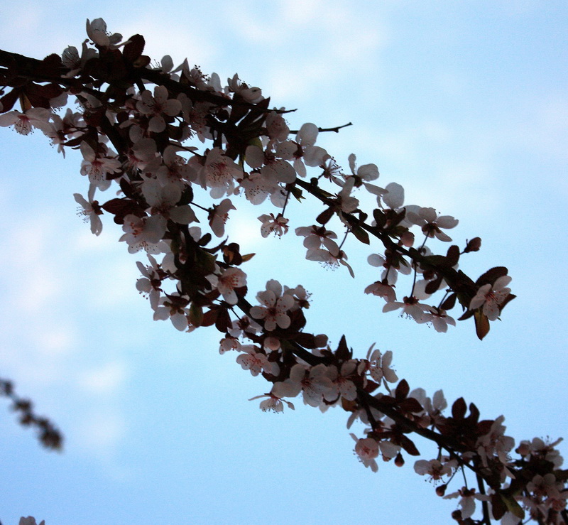 2013.1.8 029_conew2.jpg