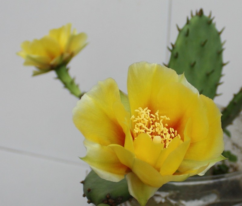 2013.5.12 483_conew2.jpg