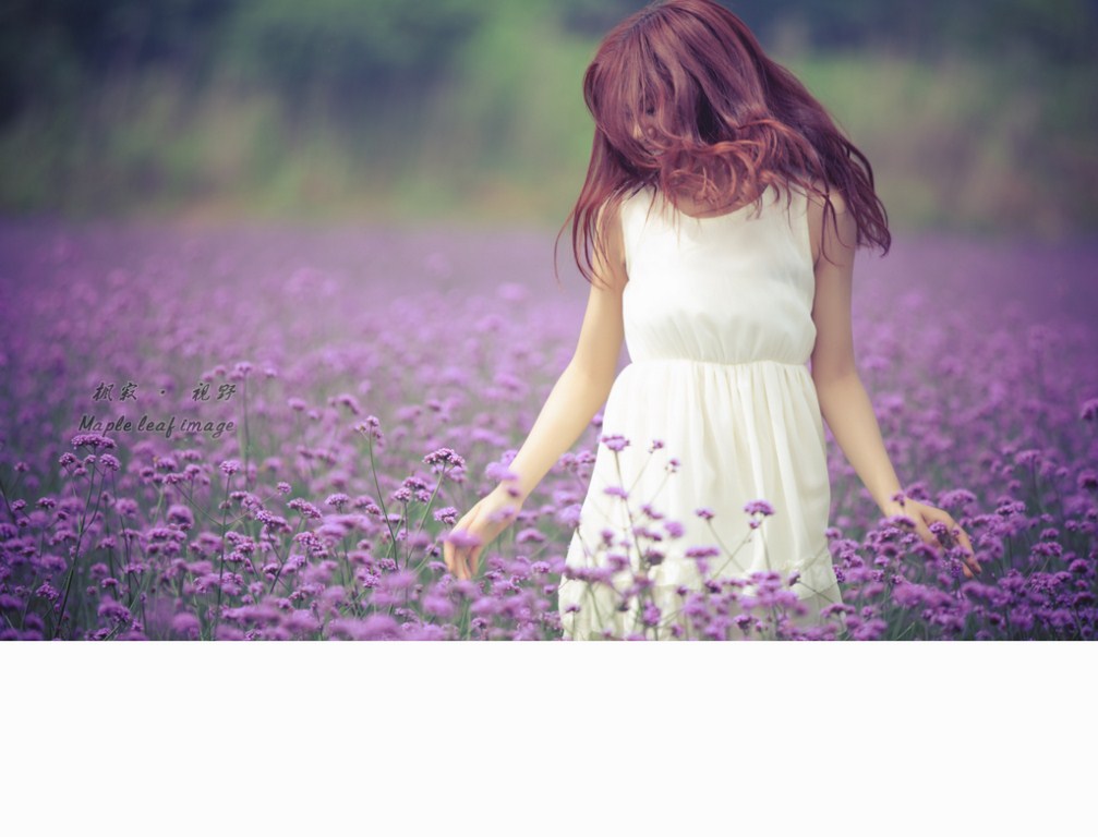 _MG_8795 [1024x768].jpg