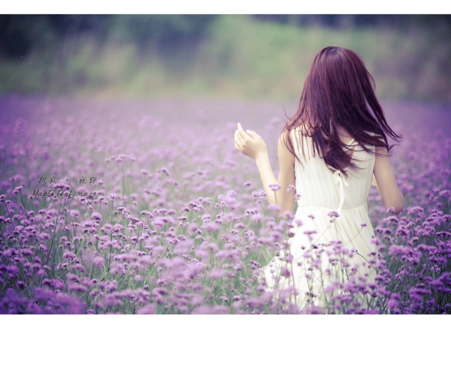 _MG_8797 [1024x768].jpg