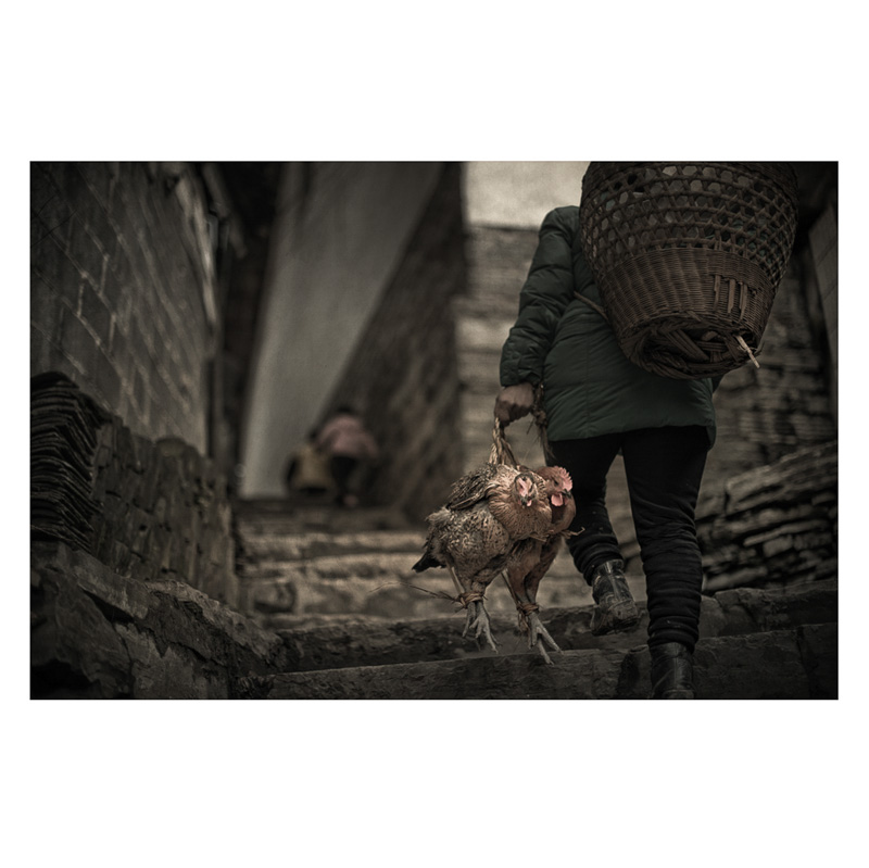 _DSC1939Ϊܶ-1  _1.jpg