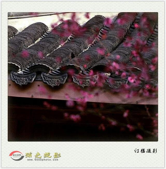 My Pictures1456069187505.jpeg