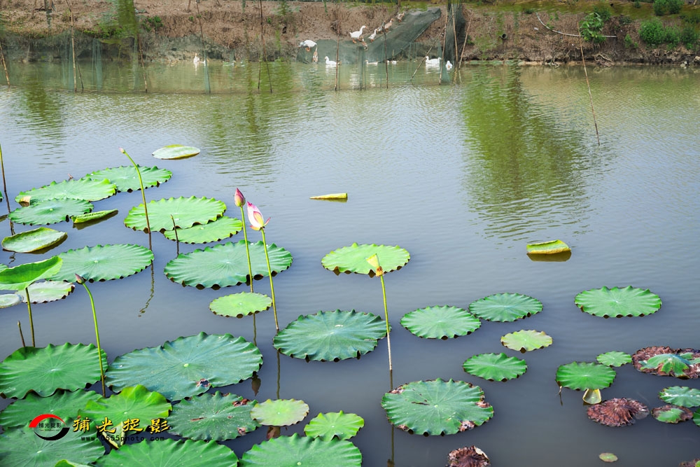 033ɫ԰????԰ƪ 0003.jpg