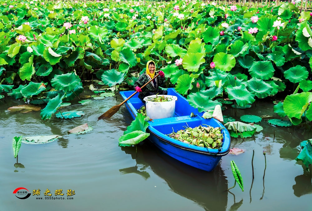 034Ҹ 18900559227.jpg