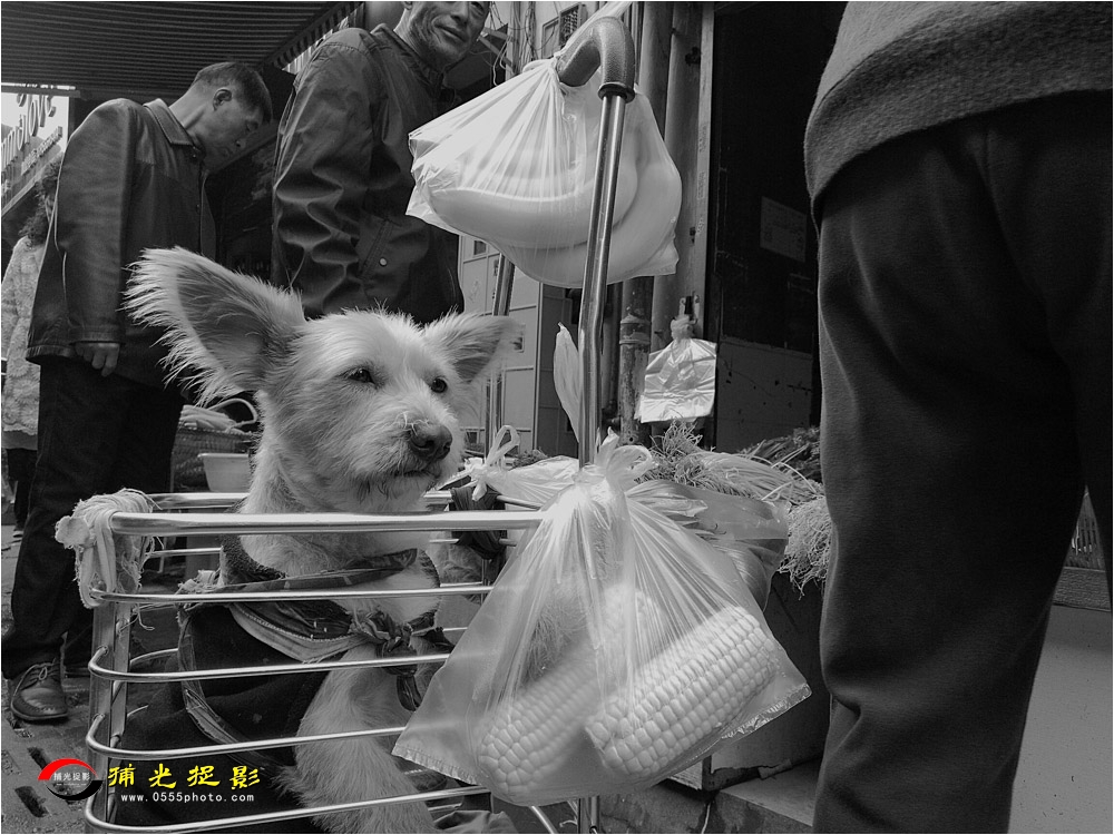 2018.11.HUA WEL NXT-CL00 ɽмɽ˳.jpg