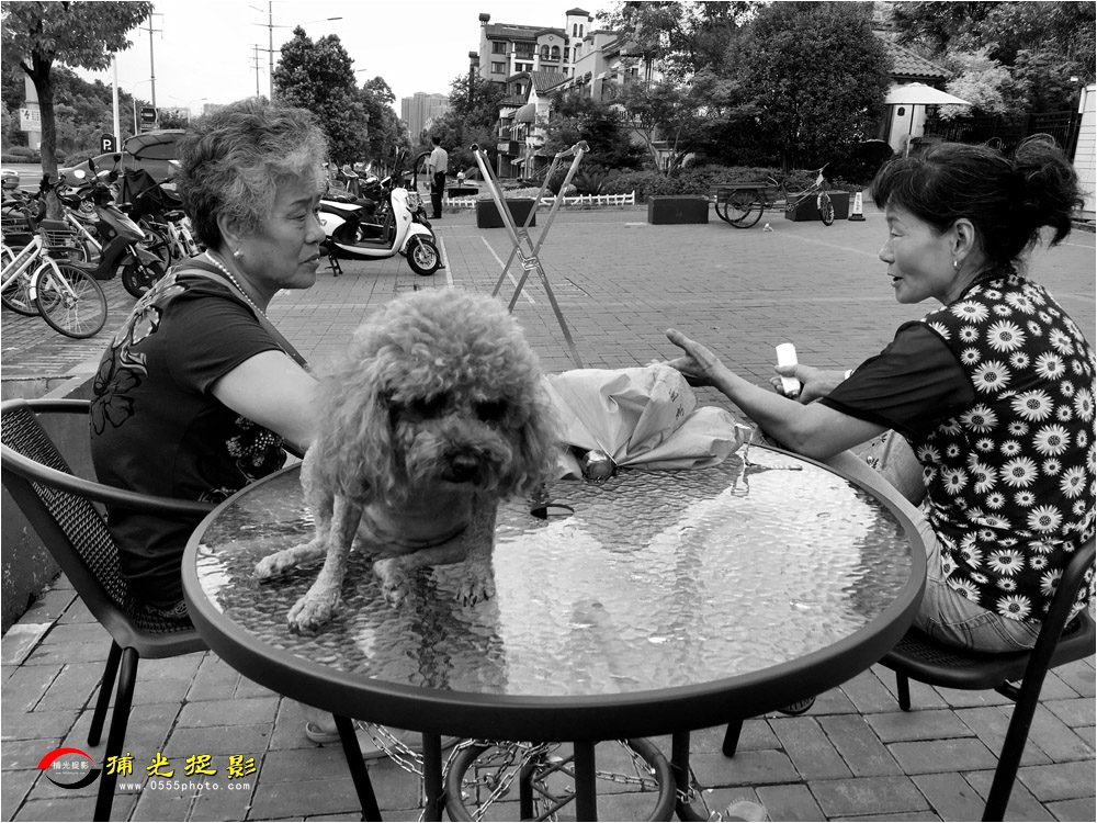 2018 iphone 6s plus ɽɽС.jpg