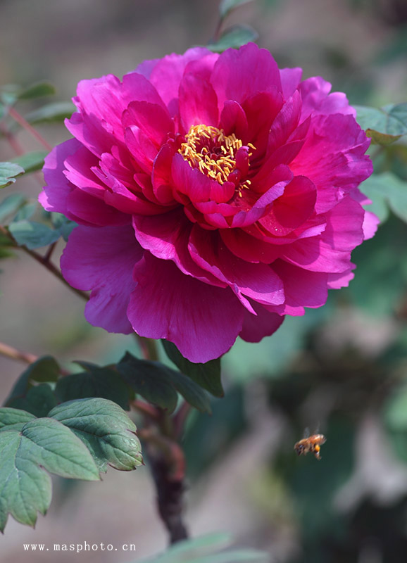 [ͼ]ҵ»:״125/2.5΢ྵͷ