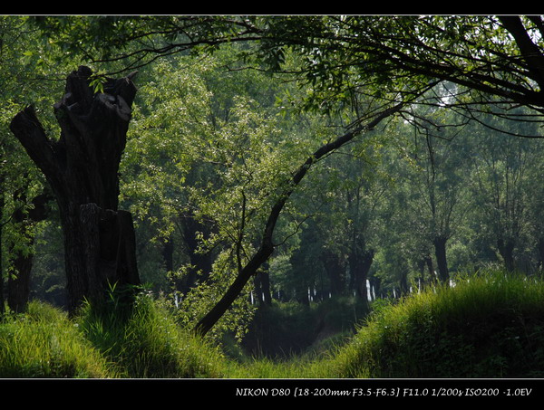 ǿڽ,Ӱ.д۶δҵĴŮ.....