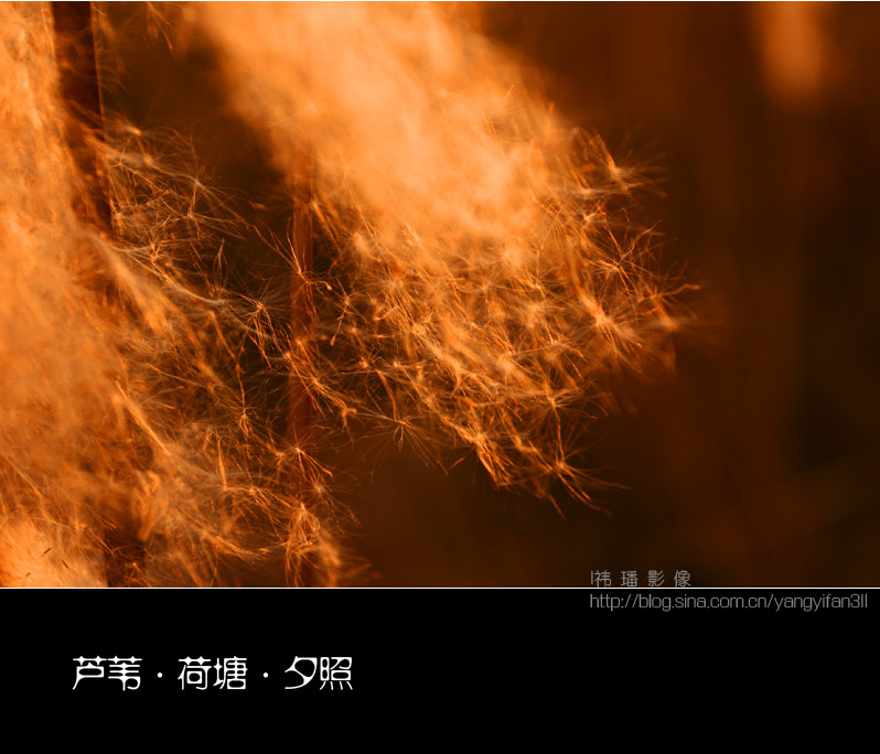 «έ••ϦաףλӰ֣