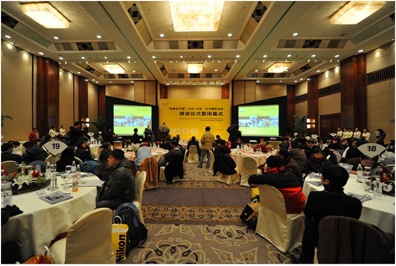 []ףڡ῵й2008 •Ӱл