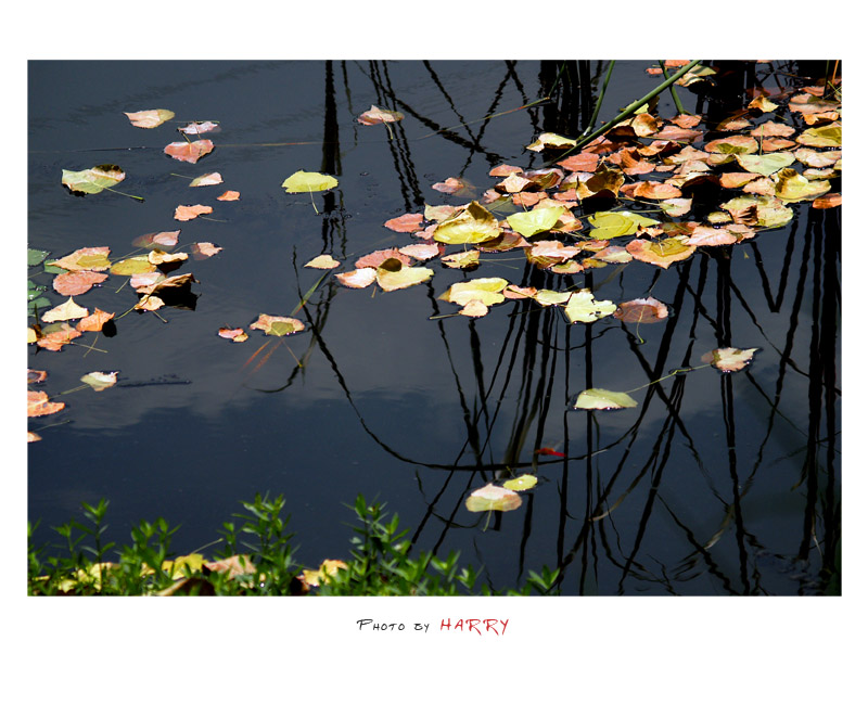 <font color=#FFFFFF>[]ӰƷչӣ</color>