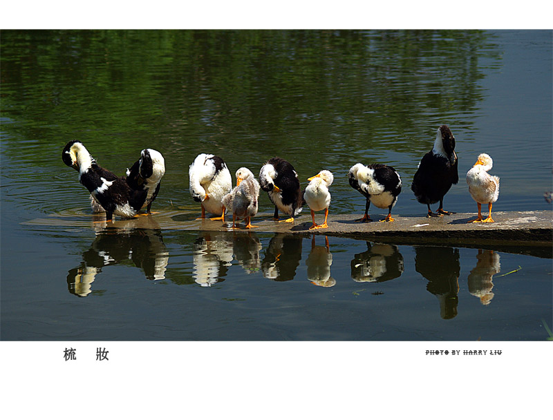 <font color=#FFFFFF>[]ӰƷչӣ</color>