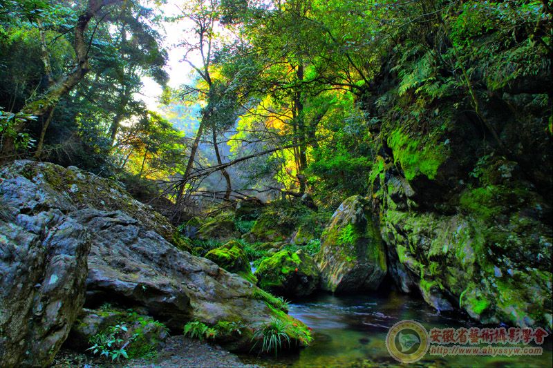 <font color=#FFFFFF>[]ӰƷչӣ</color>