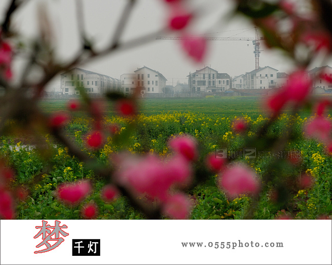 <font color=#FF4469>[]ӰƷչУ</color>