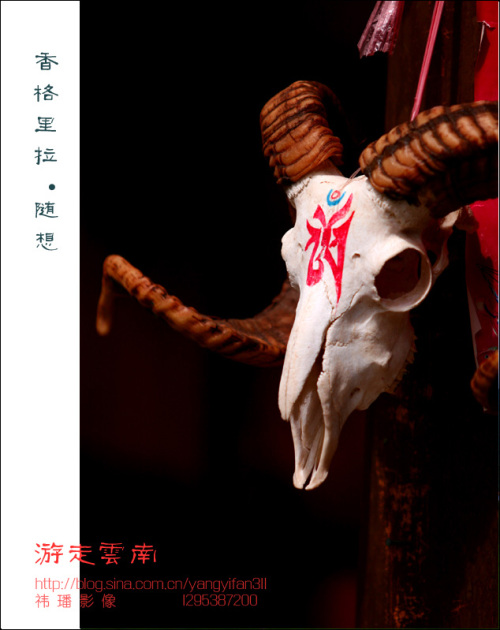 <font color=#FF4469>[]ӰƷչУ</color>