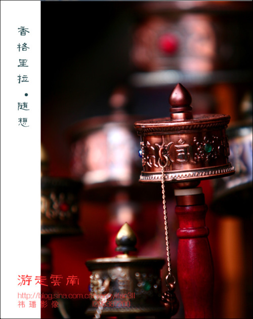 <font color=#FF4469>[]ӰƷչУ</color>