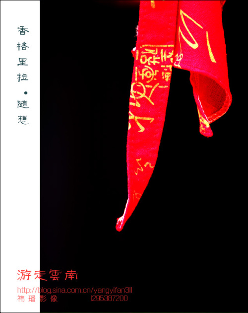 <font color=#FF4469>[]ӰƷչУ</color>