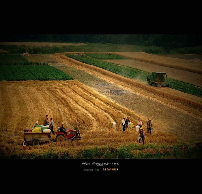 <font color=#E6BD1A>[ԭ]ɫϣ</font>