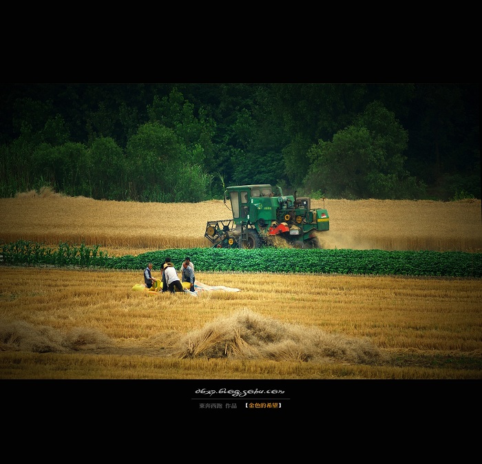 <font color=#E6BD1A>[ԭ]ɫϣ</font>