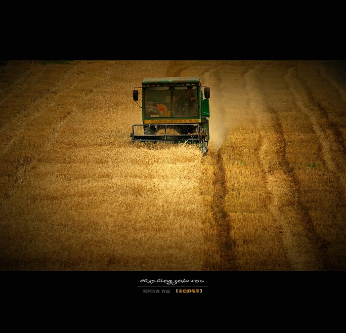 <font color=#E6BD1A>[ԭ]ɫϣ</font>