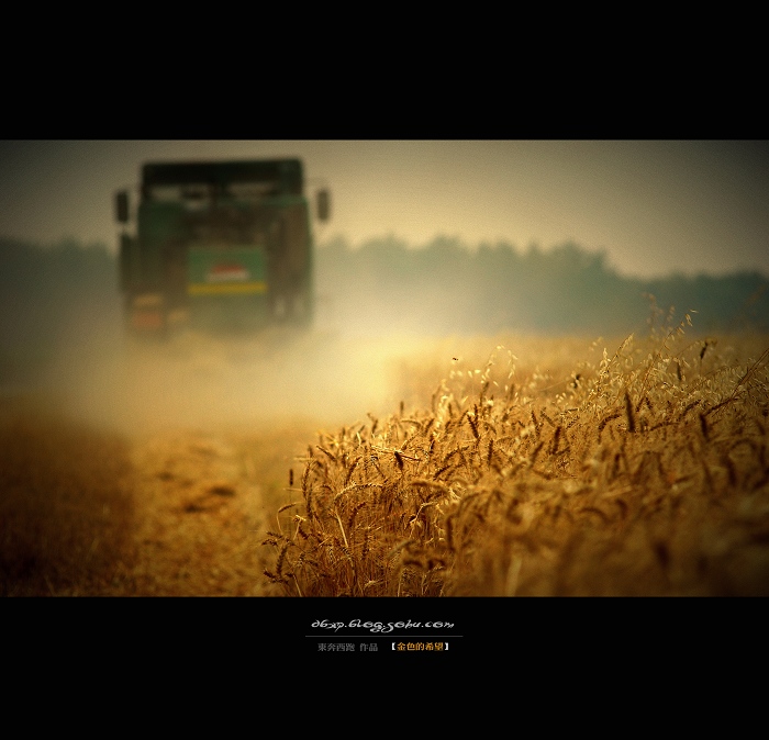 <font color=#E6BD1A>[ԭ]ɫϣ</font>