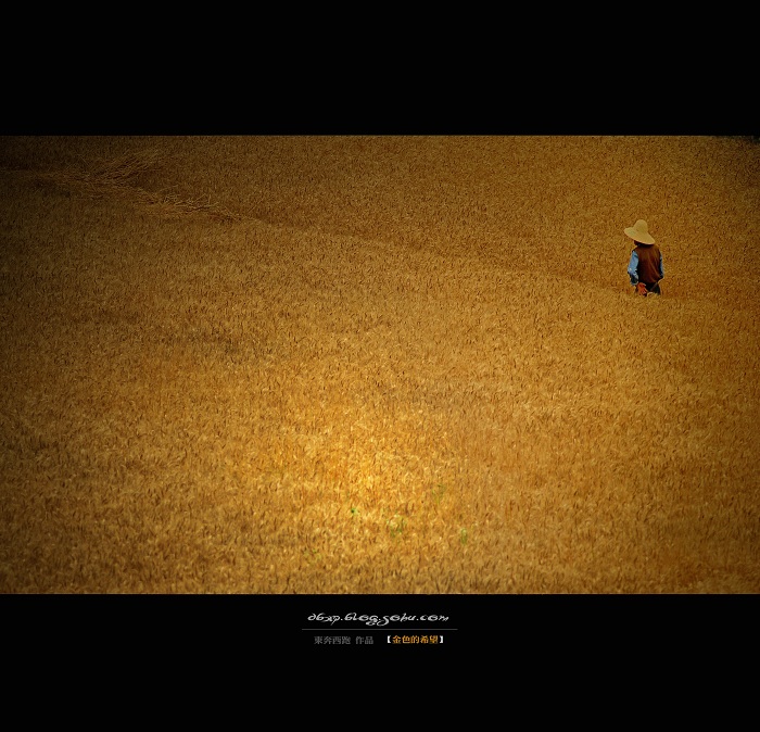 <font color=#E6BD1A>[ԭ]ɫϣ</font>