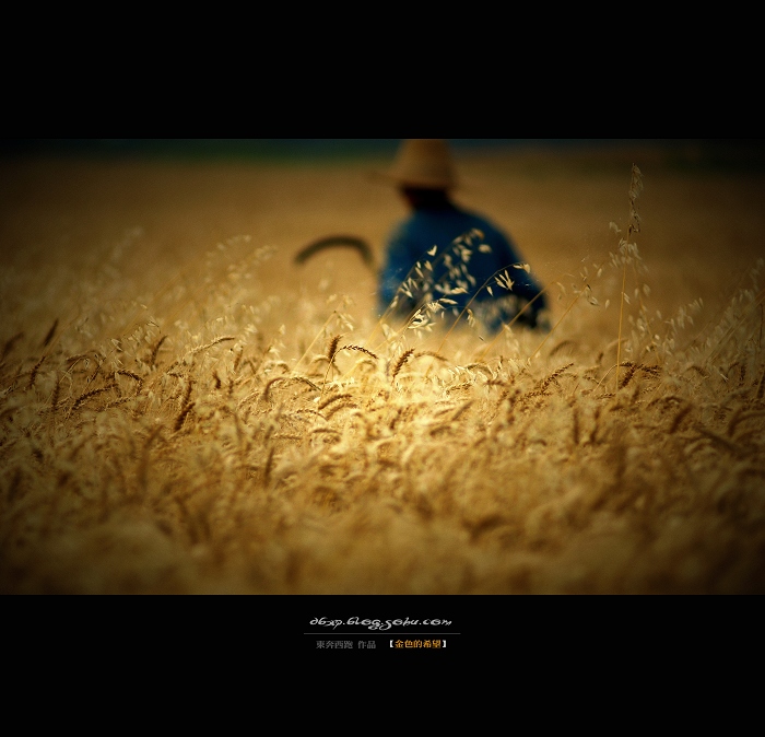 <font color=#E6BD1A>[ԭ]ɫϣ</font>