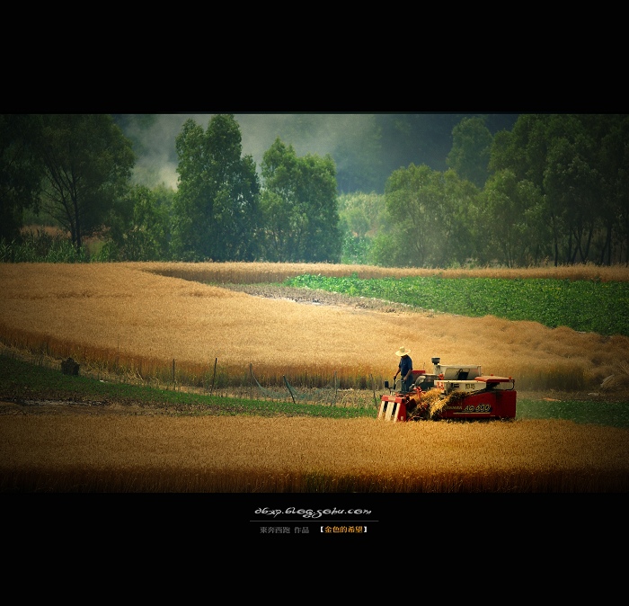 <font color=#E6BD1A>[ԭ]ɫϣ</font>