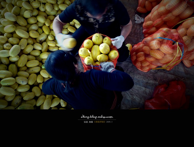 <font color=#E6BD1A>[ԭ]ϼڡfont>