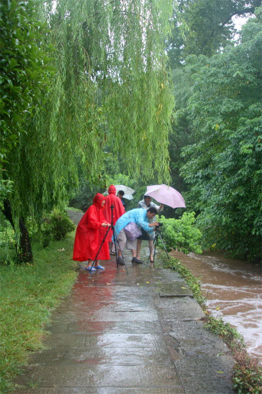 <font color=#19F819>[ע]׽Ӱ</font>