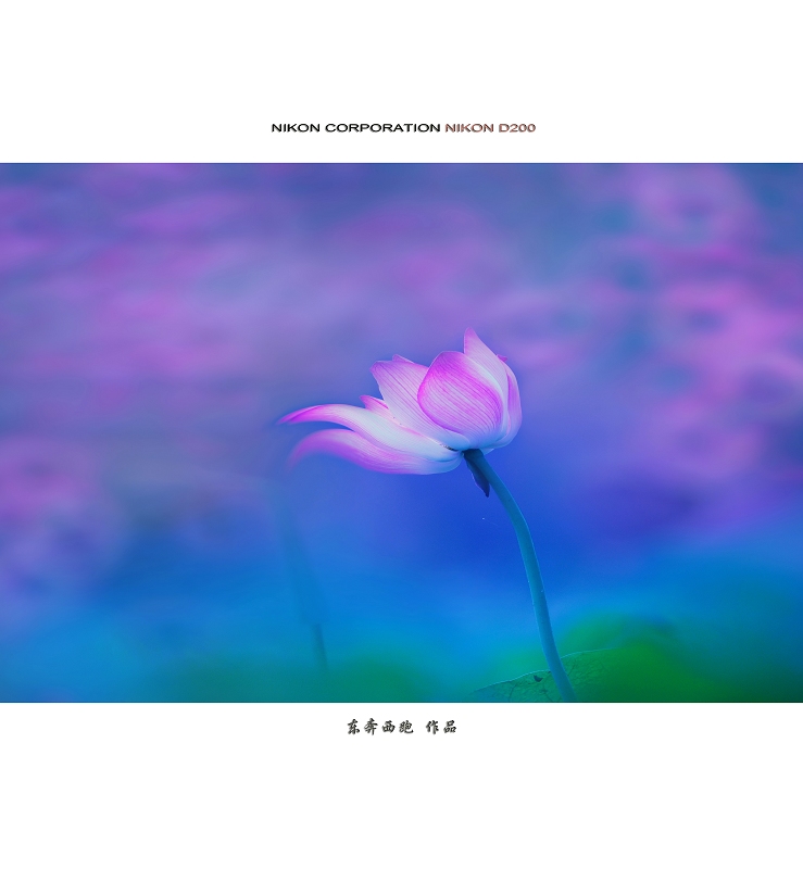 <font color=#E6BD1A>[ԭ]һɻ</font>