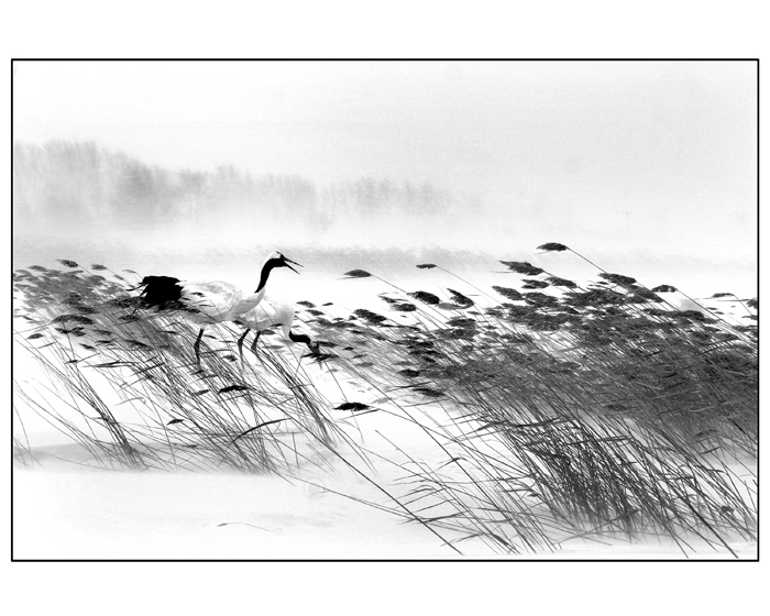 [] ףˮֳĶ⡢ƷáӰȫӰ̨֦վǾ