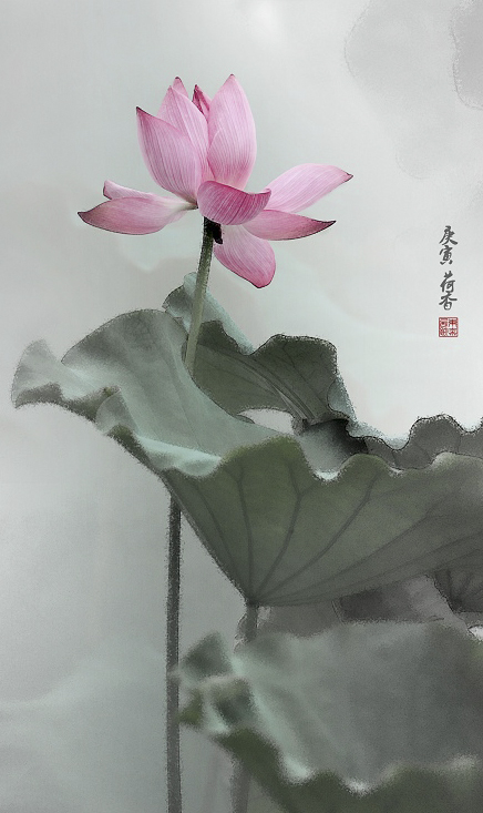 10071117448e2be3cb45b0eb16 .jpg