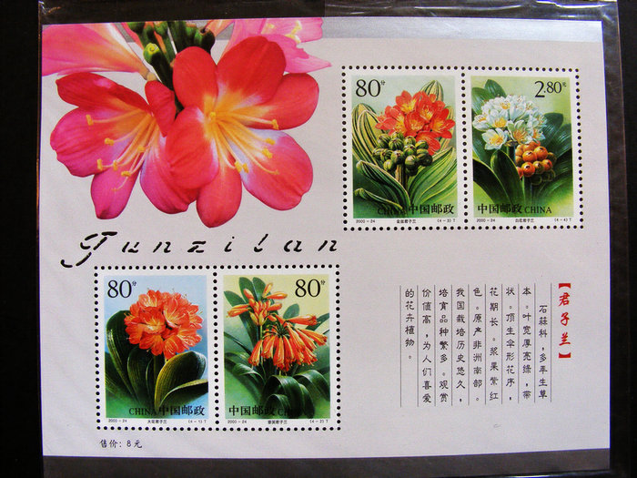 nEO_IMG_nEO_IMG_LQS5800 063.jpg