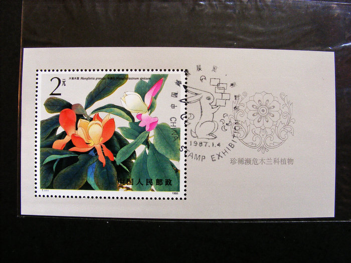 nEO_IMG_nEO_IMG_LQS5800 067.jpg