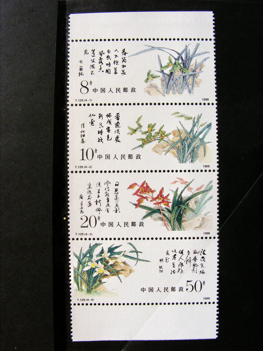 nEO_IMG_nEO_IMG_LQS5800 062.jpg