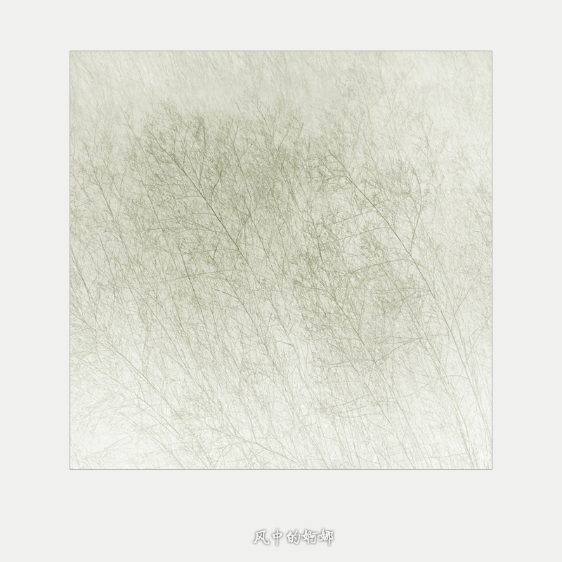 ῵D200ٶ1/320룬ȦF11ISO 200عⲹ-0.3